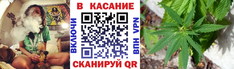 Виды наркотиков купить Выборг Codein  Меф  Гашиш  Псилоцибиновые грибы  Канабис  АМФ 