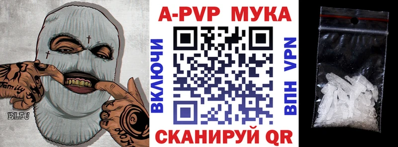 A PVP СК  Выборг 
