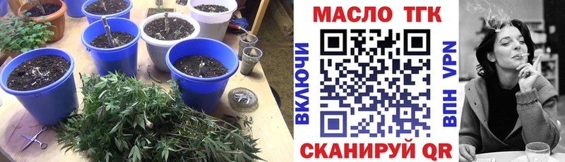 ТГК концентрат Выборг