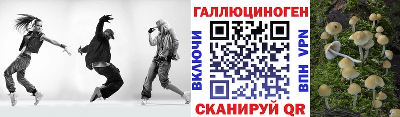 где можно купить наркотик  Выборг  Псилоцибиновые грибы ЛСД 