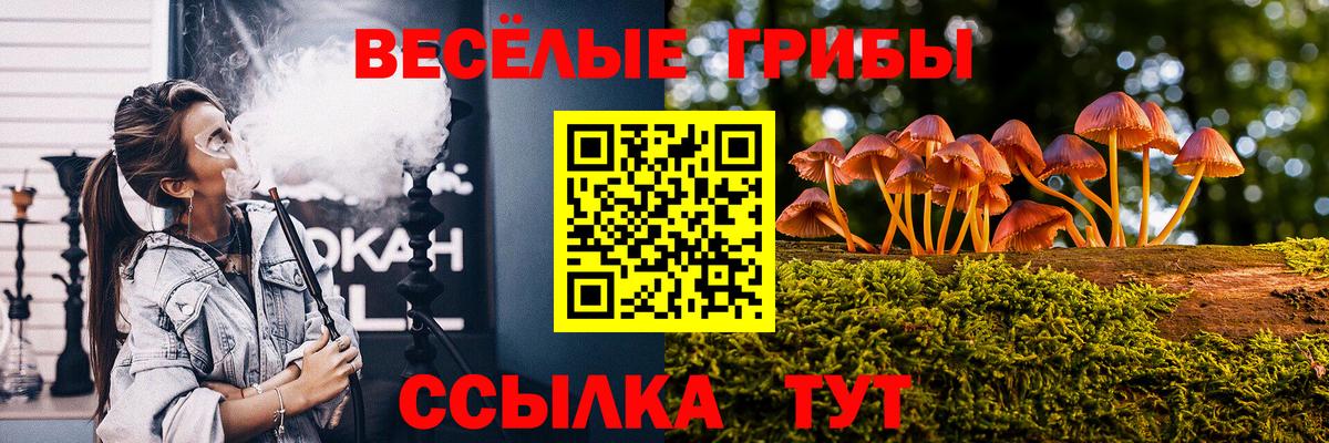 Галлюциногенные грибы ЛСД  Вход с VPN  Выборг 