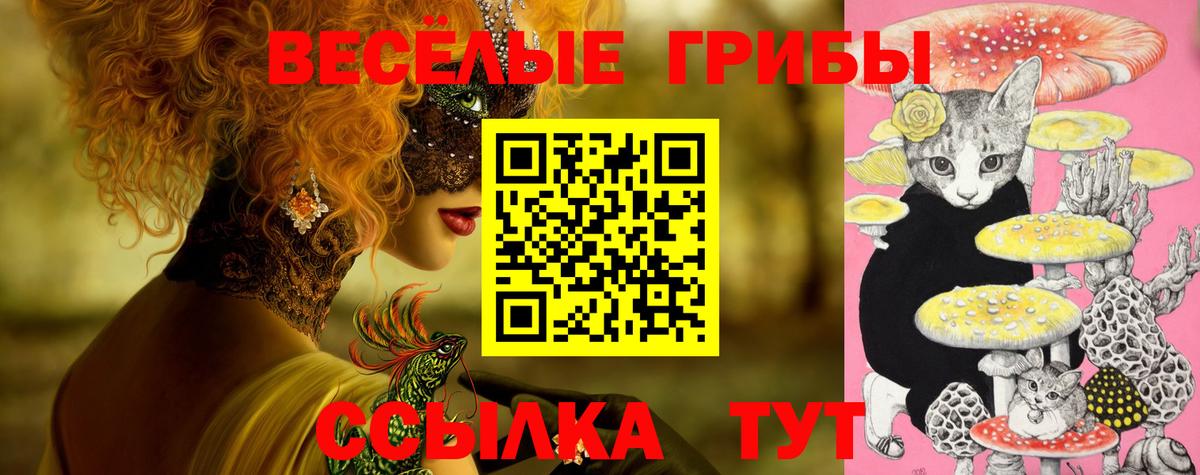 Псилоцибиновые грибы мицелий Выборг